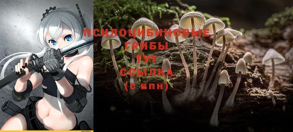 гашиш Белокуриха